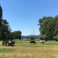 Idyllische Ausblicke vom Rundweg um den See