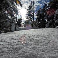 Feistritzsattel - Harterkogel
