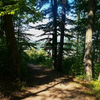 Weg Richtung Ruine Donopskuppe - Meiningen