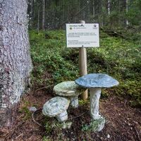 Nachbildung grün-blauer Täubling am Schwammerlweg