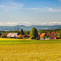 Alpenpanorama bei Bergalingen