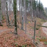 Übergang Hohenstein Abstieg zum Gscheid