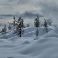 Märchenhafte Winterlandschaft.