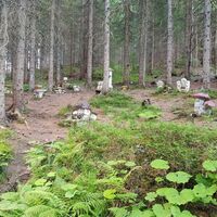 Die Schwammerlstadt am Schwammerlweg Rohrmoos