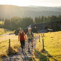 Wandern Feldbergsteig