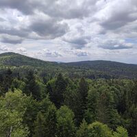 Ausblick zum Eschenberg