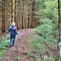 Der Weg führt steiler bergab und ist gut markiert