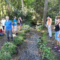 Atemmeditation am Baßgeigen-Zufluss