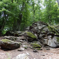 Oberarnsdorf - Aggstein - Schönbühel