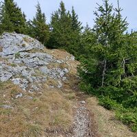 "Öhler" am Weg zum "Schober"