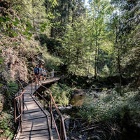 Wanderweg in der Ravennaschlucht