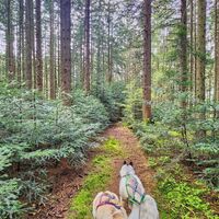 Wanderung Oberwarngau Taubenberg