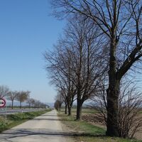 am Weg nach Eggendorf