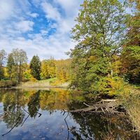 Fischteich