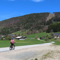 Wald-Faistenau