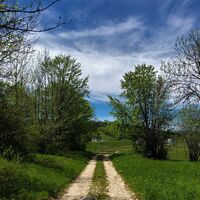 Weg von Fully nach Plans d'Hotonnes