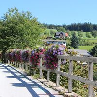 Blumendorf St. Kathrein/O._Naturpark Almenland_Oststeiermark