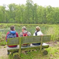 Drei Wanderer auf einer Bank im Moor während einer Pause