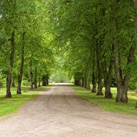 Park