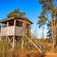 Aussichtsturm im Naturschutzgebiet Großes und Weißes Moor