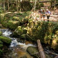 Ysperklamm