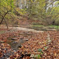 Einer der Glanweiher