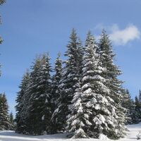 Wechsel-Panoramaloipe