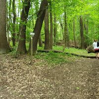 5.5 km Rechts zum Gasthof Bonka