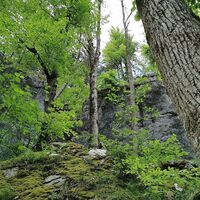 Höhlenpark Klausenstein