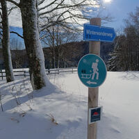 Todtmoos Rodelwanderung mit Hochkopfblick 9