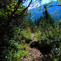 Niederalpl - Hohe Veitsch - Seewiesen