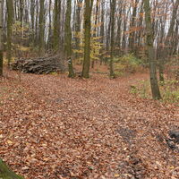 Richtung Nordwestseite Hohenwartberg