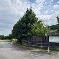 Und hier links den Waldlehrpfad rein