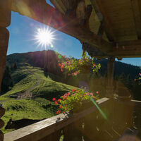 Hörnle-Alm