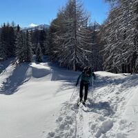 Am Ende des Waldes auf ca 1.900 m Seehöhe