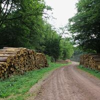 Stedtfelder Berbaulehrpfad