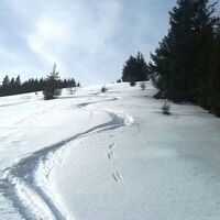 Unberührte Gaberl-Runde: Über den Nordhang auf den Plankogel