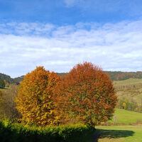 Der Herbst ist für viele die schönste Jahreszeit im Schwarzwald