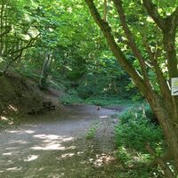 Weg von Starkenburg ins Ahringsbachtal (Bachweg) Höhe Oberes Schafseifen (Am Kasten).