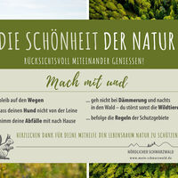 Hilf mit, dass unsere Natur so schön bleibt!