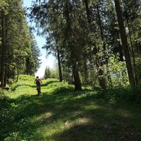 Rückweg zur Wasserscheide - Gantrisch Bike-Panoramaweg