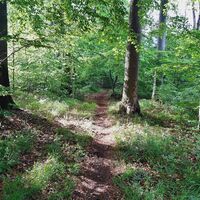 Wanderweg