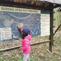 Forstlehrpfad Radovljica