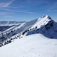 Auf dem Gelchenwanger Grat - Blick Hochgrat