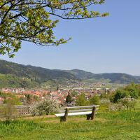 Ausblick vom "Schänzle"