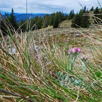 Hochalm aus dem Utschgraben über Eisenpass und Herrenkogel
