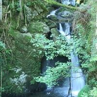 Wasserfall Strahlbrusch