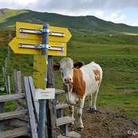 Das Schobertörl auf 2360m. Leise sein! Dann werdet ihr bestimmt ein paar Murmeltiere sehen.