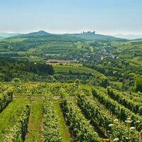 Blick von den Weinrieden in Krustetten auf das Stift Göttweig