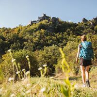 Am Weg zur Ruine Dürnstein